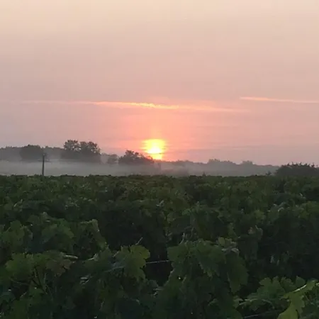 Au Proche Des Vignes * Montagne (Gironde)