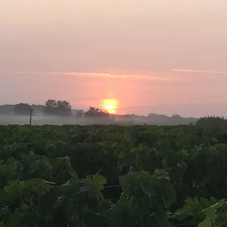 ベッド・アンド・ブレックファスト Au Proche Des Vignes 3*